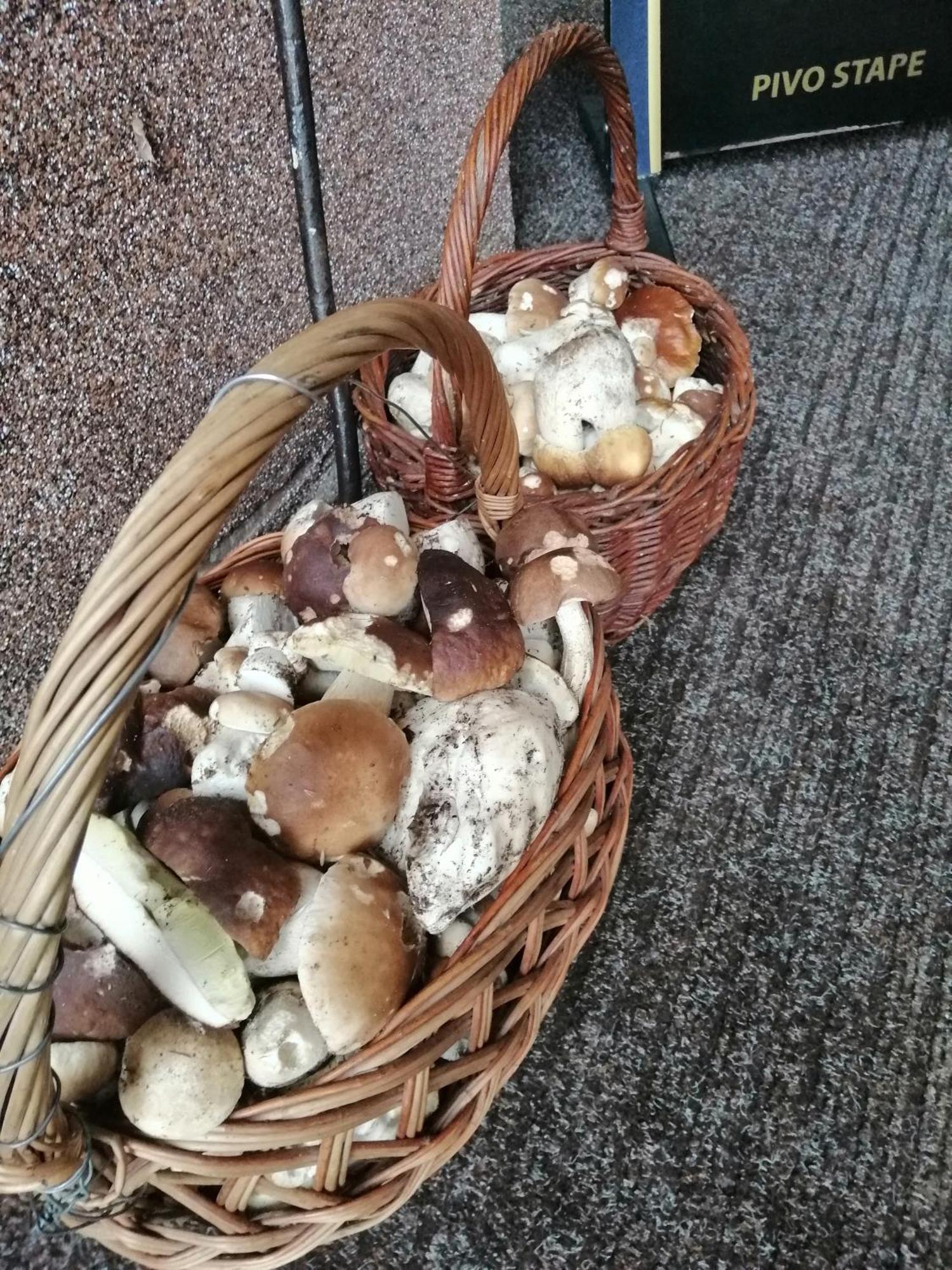 Penzion Jura Chřibská Eksteriør bilde