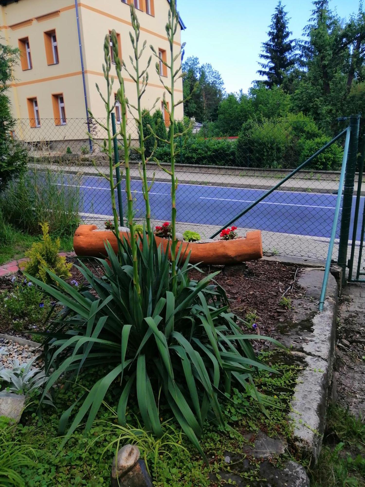 Penzion Jura Chřibská Eksteriør bilde